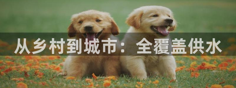 球友会官网app