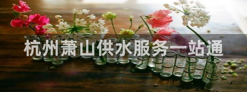 QY球友会体育官方平台