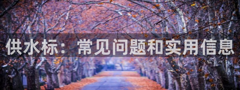 球友会提款不到账