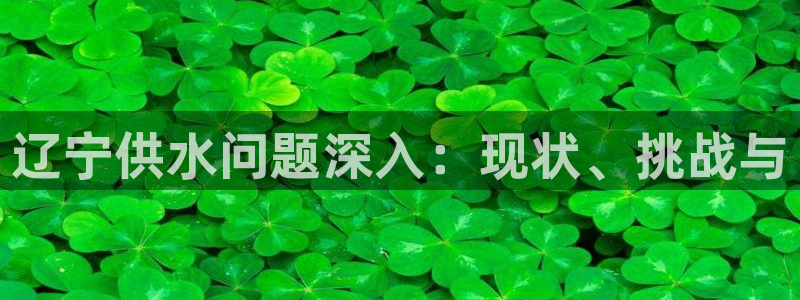 球友会提款审核中