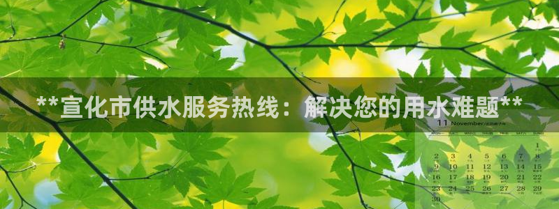 球友会体育app下载安卓版