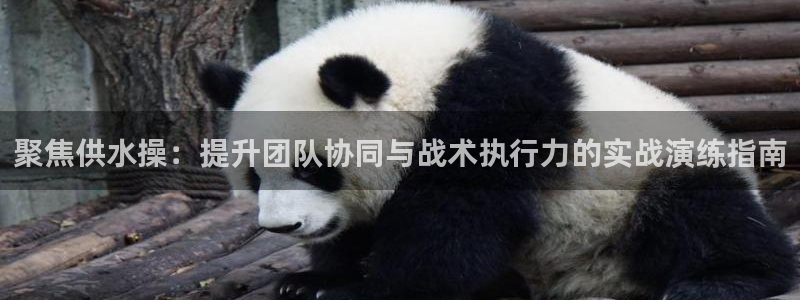 球友会App