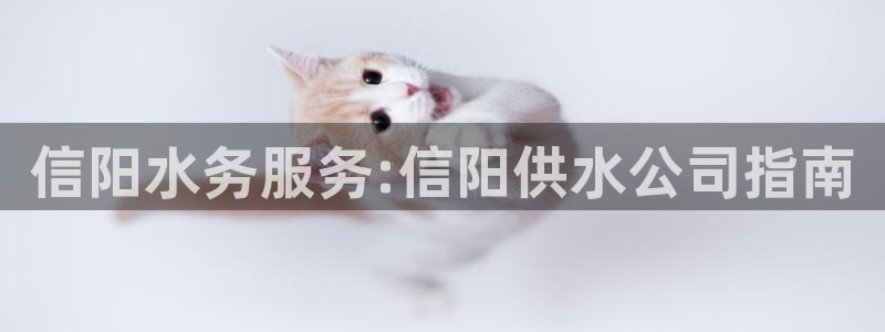 球友会台球俱乐部官网