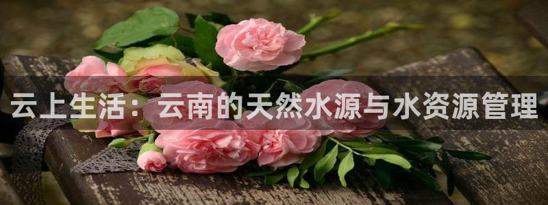 球友会app官方网站入口