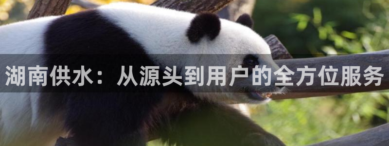 球友会app官方网站