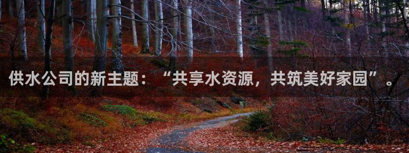 球友会比赛结果查询网站