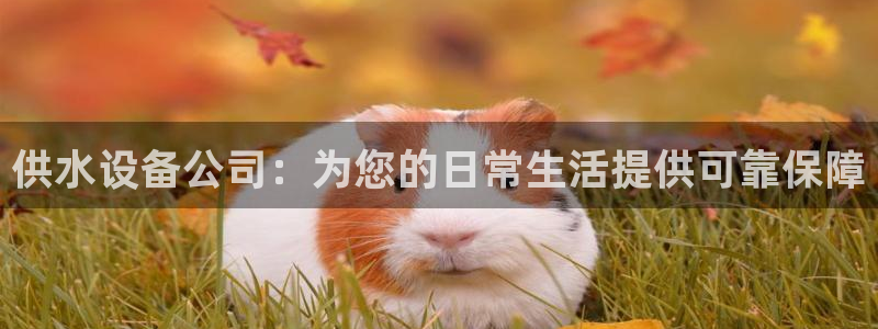 球友会app官网下载安装