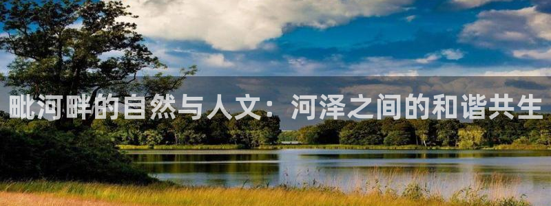 球友会登录不上的原因