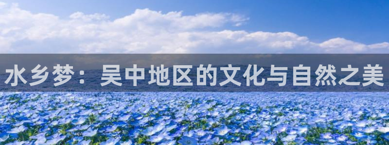 球友会登录不上的原因