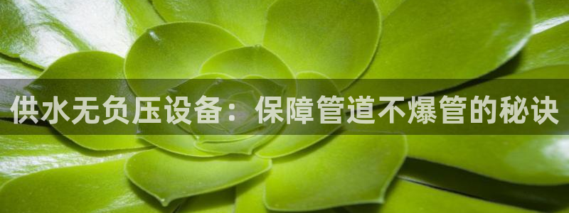 球友会体育app官方版下载安装苹果