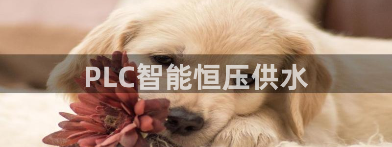 球友会官网入口网址