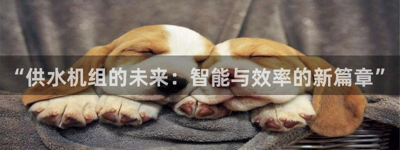 球友会提款审核中