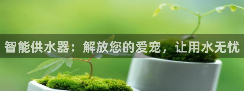 球友会登录网站怎么登录